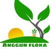 Anggun flora
