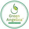 Green Angelica