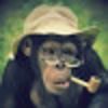 joe monkey