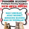 Pondok Kucing Surabaya