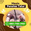 Alat Penetas Telur