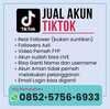 Jual akun Tiktok fyp