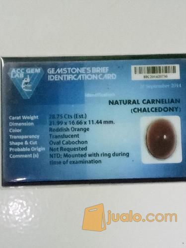 Bacan Obi (Bacan Merah) Rare. Plus Memo. code 16