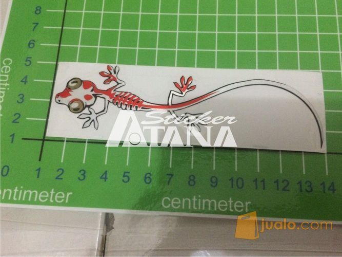 Sticker Cutting Scotlite Gambar Rangka Cicak