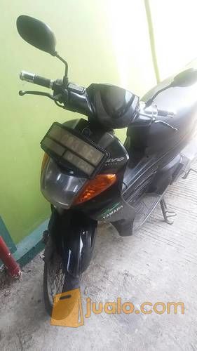 Butuh Nouvo Lele Dengan Harga Murah