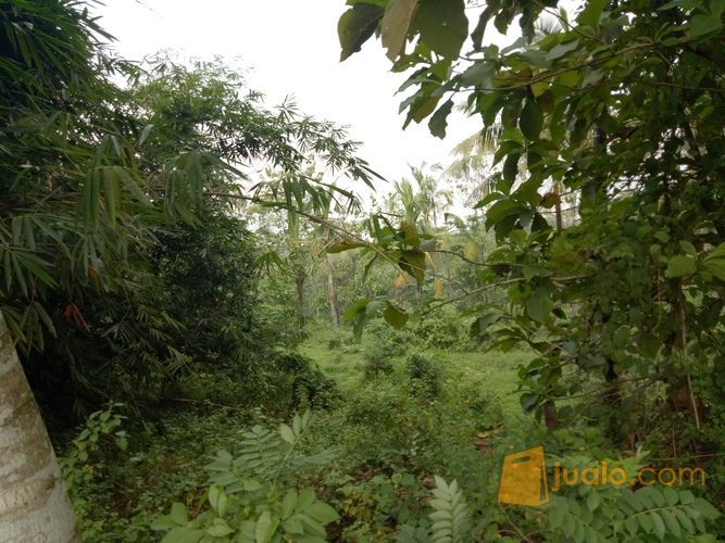 LAHAN INDUSTRI 1300 HA