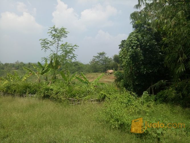 LAHAN INDUSTRI 1300 HA