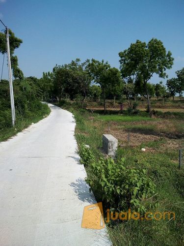 Murah2 Nol Poros Tnah Resmi Lokasi Desa Balong Wangi Kec Tikung Lamongan