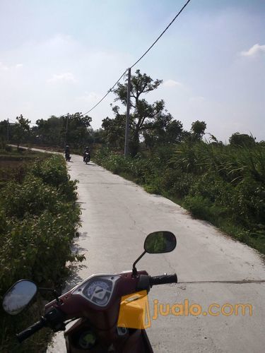 Murah2 Nol Poros Tnah Resmi Lokasi Desa Balong Wangi Kec Tikung Lamongan