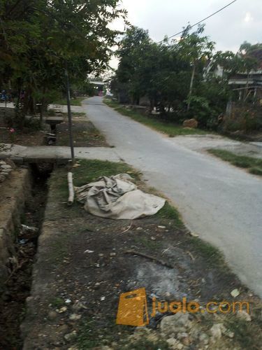 Murah2 Nol Poros Tnah Resmi Lokasi Desa Balong Wangi Kec Tikung Lamongan