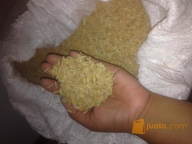 Beras Lokal Kualitas Terbaik