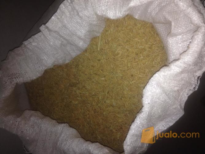 Beras Lokal Kualitas Terbaik