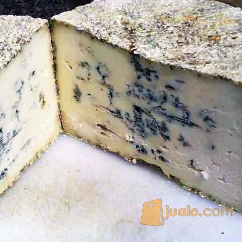 Bibit Keju Biru Blue Cheese Penicillium Roqueforti