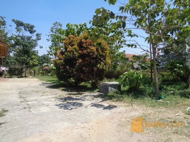 TANAH PADAT DI BAWAH HARGA PASAR ADA INCOME 48JT/THN CIWASTRA