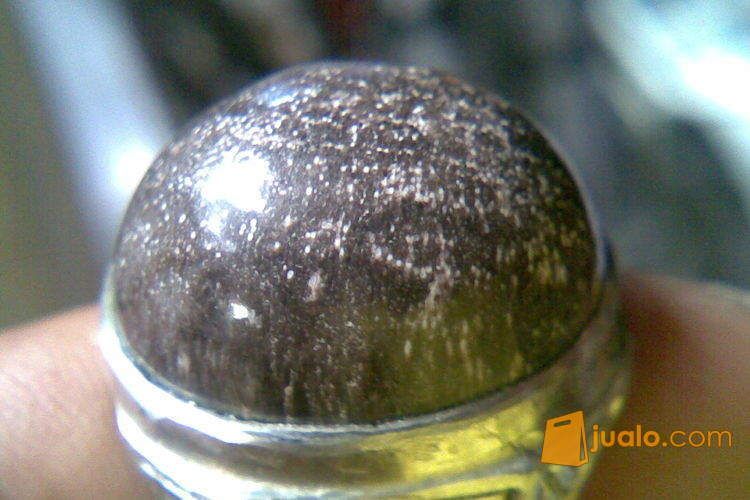 NATURALL AGATE FOSIL KAYU ULIN