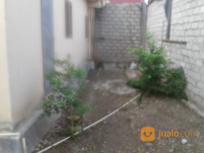 Sewa Kontrak Rumah Di Btn Zebra Indah Palu Sulawesi Indah
