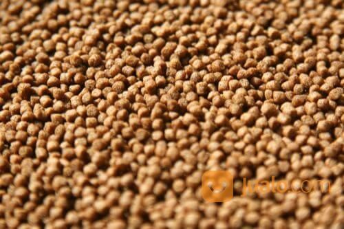 Pelet Ikan Merk 781 Lain Nya