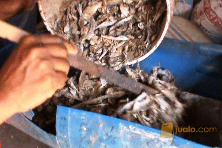 Tepung Ikan untuk Bahan Pakan / Penelitian Mahasiswa