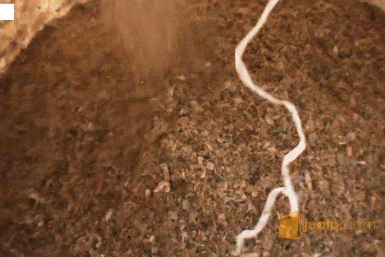 Tepung Ikan untuk Bahan Pakan / Penelitian Mahasiswa