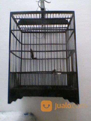 Sangkar Burung Petak