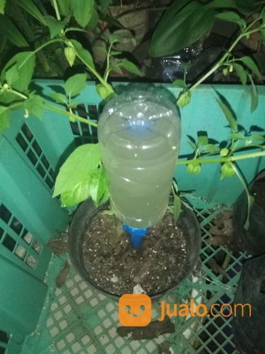 Alat Irigasi Tetes Siram Otomatis Botol