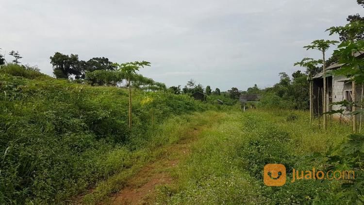 Perumahan Terbengkalai 350rb Per M2