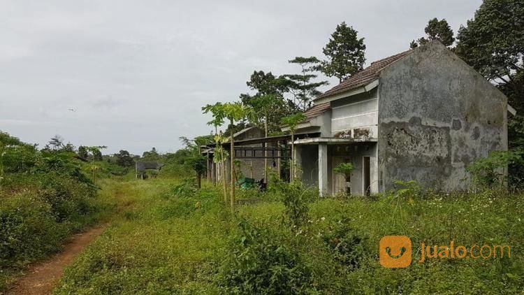 Perumahan Terbengkalai 350rb Per M2