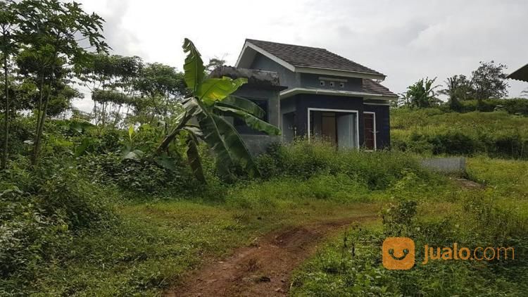 Perumahan Terbengkalai 350rb Per M2