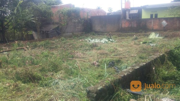 Tanah Murah Komplek IPB Alam Sinar Sari Dramaga Bogor "Kawasan Perumahan Dosen IPB