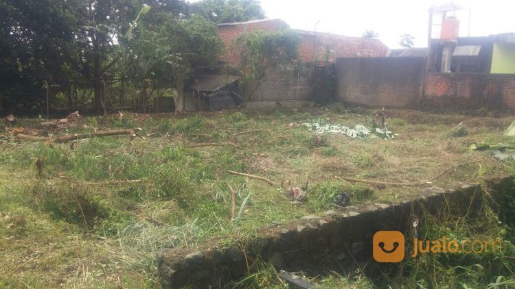 Tanah Murah Komplek IPB Alam Sinar Sari Dramaga Bogor "Kawasan Perumahan Dosen IPB