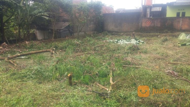 Tanah Murah Komplek IPB Alam Sinar Sari Dramaga Bogor "Kawasan Perumahan Dosen IPB