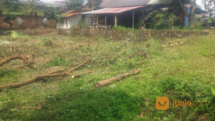 Tanah Murah Komplek IPB Alam Sinar Sari Dramaga Bogor "Kawasan Perumahan Dosen IPB