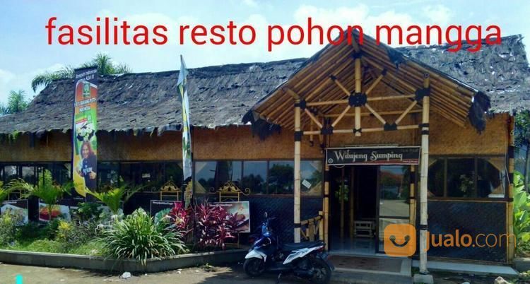 Rumah Pohon Mangga, Rancamanyar. Fasilitas Kolam Pemancingan Dan Resto