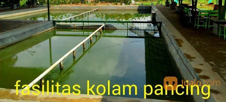 Rumah Pohon Mangga, Rancamanyar. Fasilitas Kolam Pemancingan Dan Resto