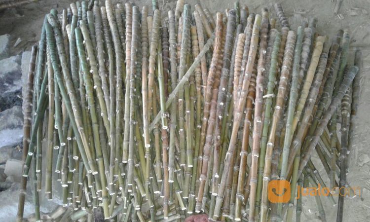Bambu Cendani Bahan Gagang Pancing