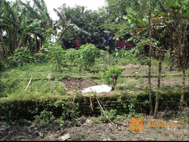 Tanah Industri Atau Komersil 752m2 - Driyorejo, Gresik, Jawa Timur