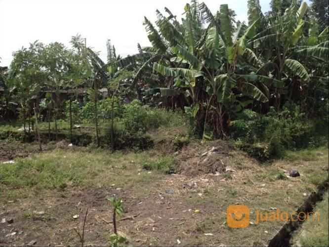 Tanah Industri Atau Komersil 752m2 - Driyorejo, Gresik, Jawa Timur