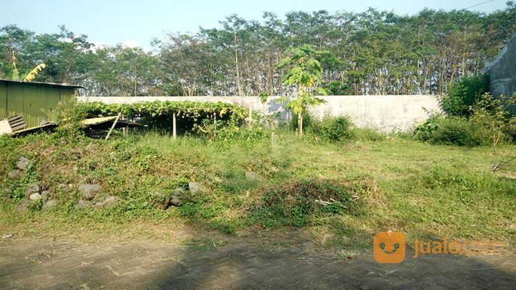 Tanah Kavling Luas 100 Di Dieng Atas Kota Malang _ 352.18