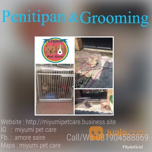 Penitipan & Grooming Kucing/Anjing Solo