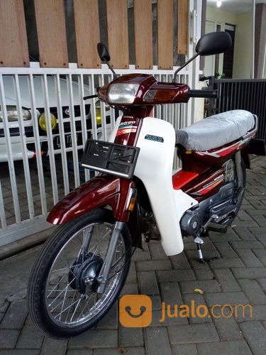Astrea Grand Bulus Merah