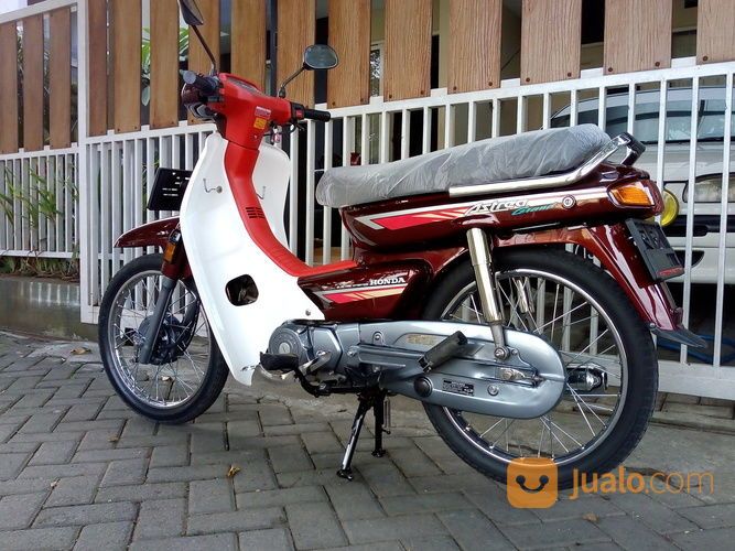 Astrea Grand Bulus Merah