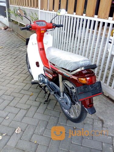 Astrea Grand Bulus Merah