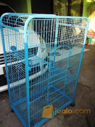Kandang kucing bertingkat