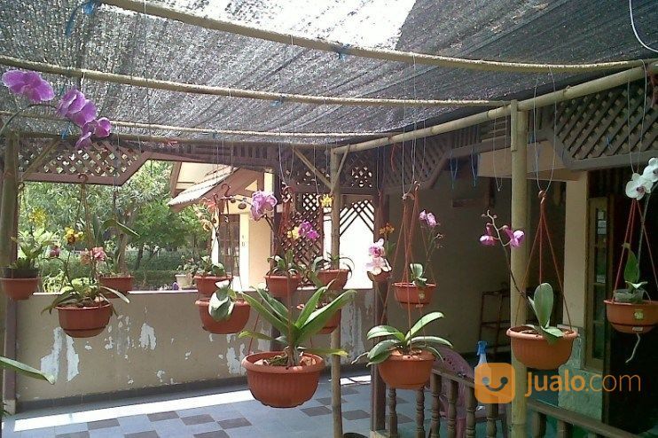 Agen Termurah Paranet Hitam