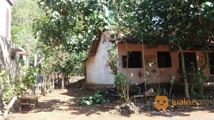 Tanah Dan Bangunan Tepus Wonosari