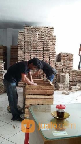 Telur Ayam Dan Bebek