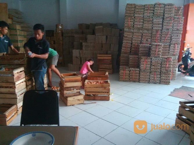 Telur Ayam Dan Bebek