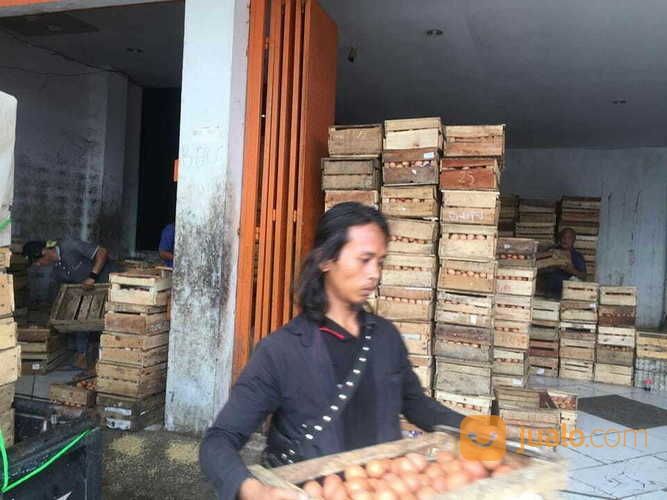 Telur Ayam Dan Bebek