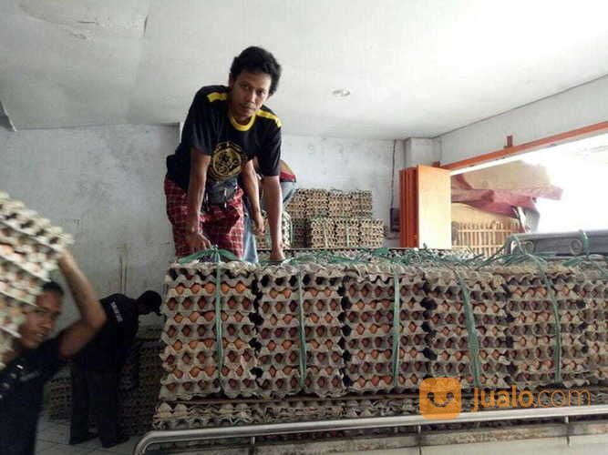 Telur Ayam Dan Bebek