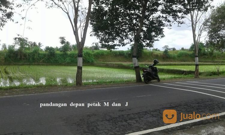 Tanah Luas Prestigious Di Bali Dan Masih Banyak Lahan Kosong Sekitanya Siap Diolah, Bali